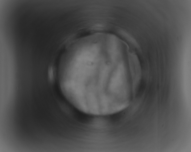 X0000100930070200807081222