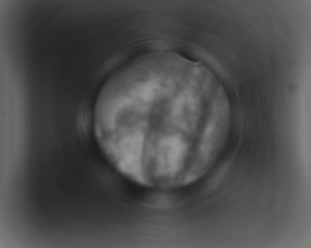 X0000100930071200807081222