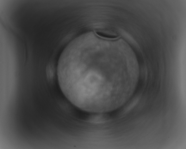 X0000100930072200807081222