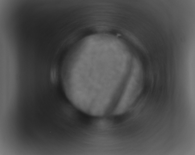 X0000100930074200807081222