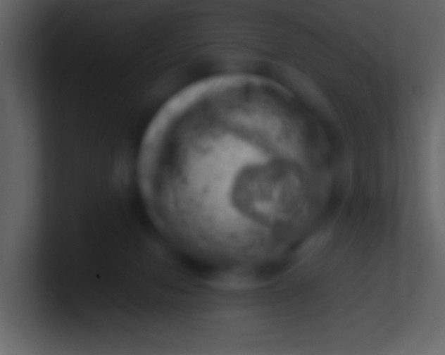 X0000100930078200807081222