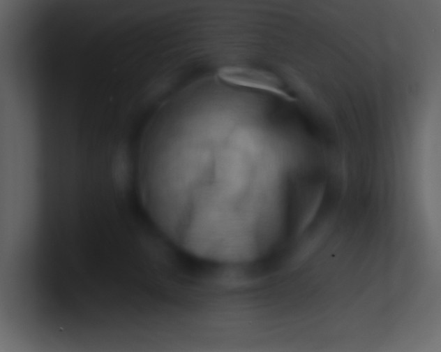 X0000100930080200807081222