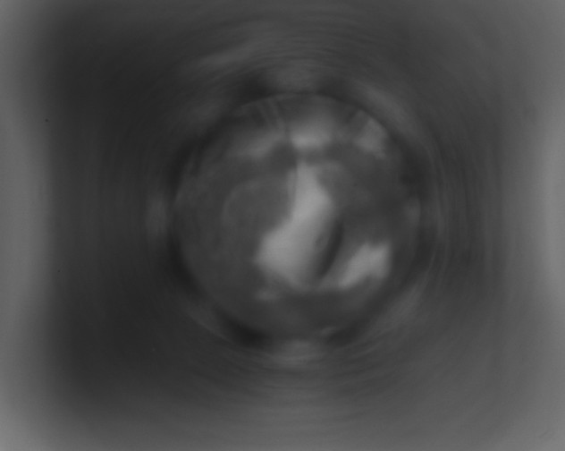 X0000100930081200807081222