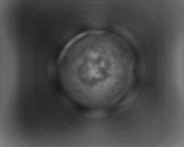 X0000100930086200807081222