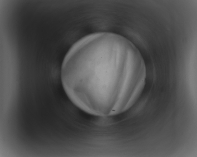 X0000100930087200807081222