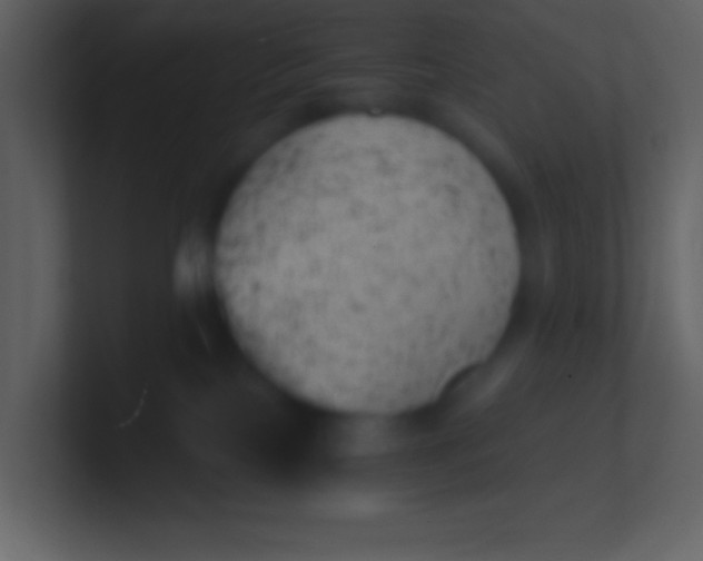 X0000100930089200807081222