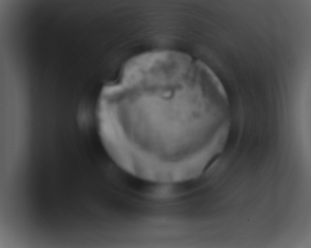 X0000100930090200807081222