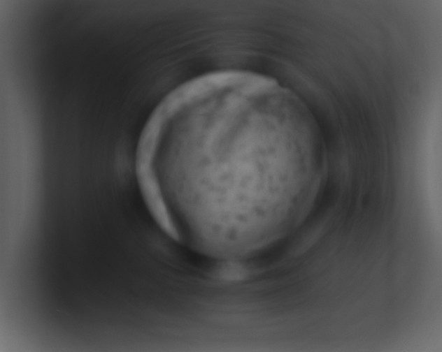 X0000100930091200807081222