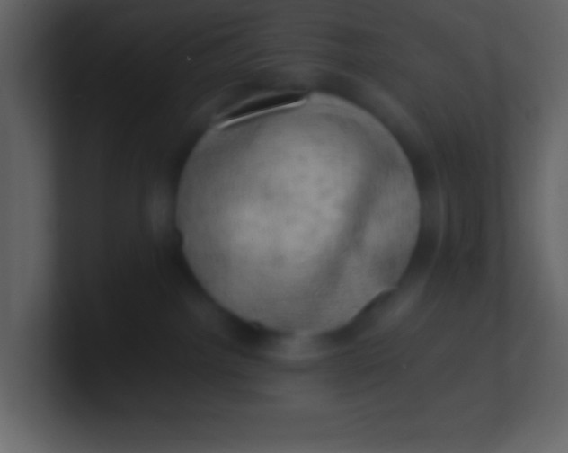 X0000100930092200807081222