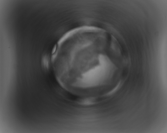 X0000100930094200807081222