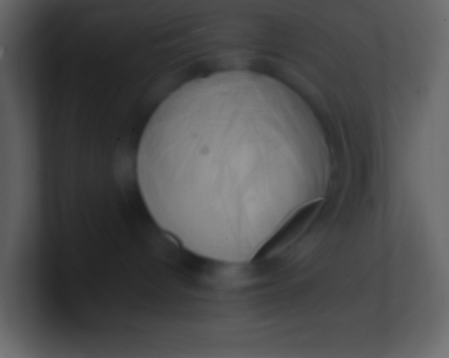 X0000100930096200807081222