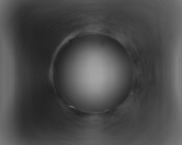 X0000100930100200807081221