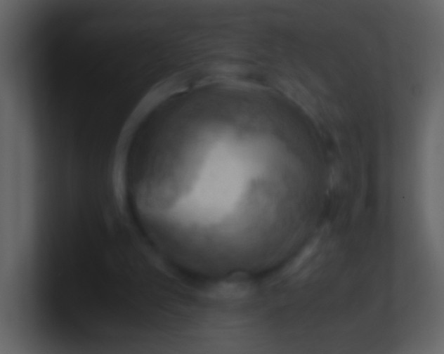 X0000100930101200807081221