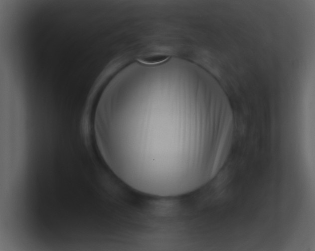 X0000100930102200807081221