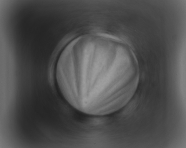 X0000100930103200807081221