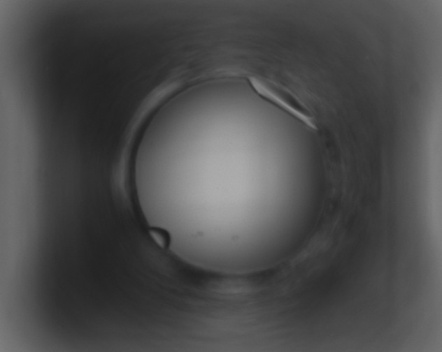 X0000100930104200807081221