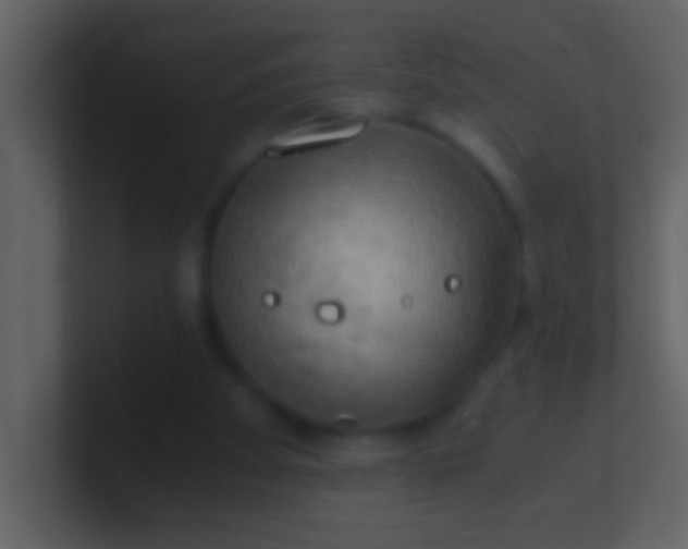 X0000100930105200807081221