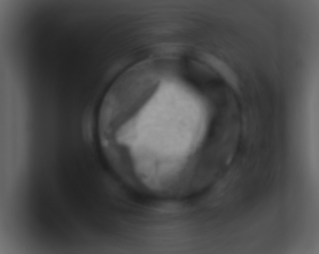 X0000100930107200807081221