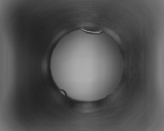 X0000100930108200807081221