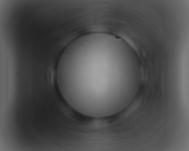 X0000100930109200807081221