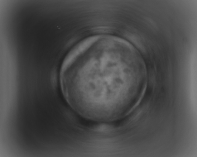 X0000100930111200807081221