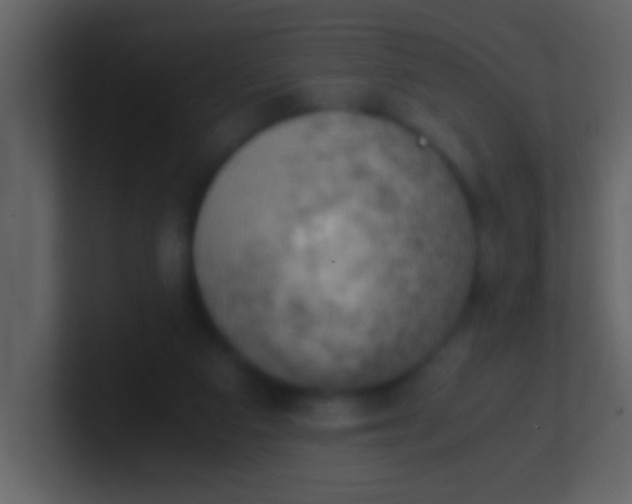 X0000100930113200807081221