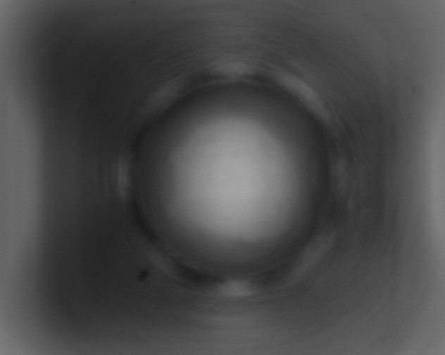 X0000100930114200807081221