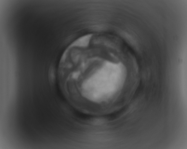 X0000100930115200807081221