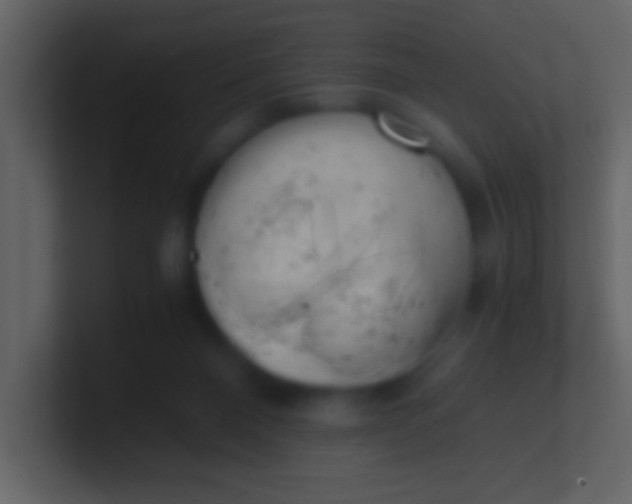 X0000100930120200807081221