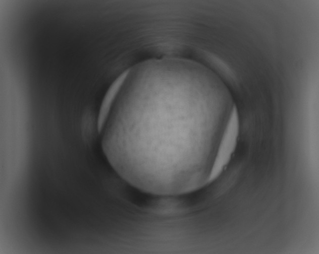 X0000100930121200807081221