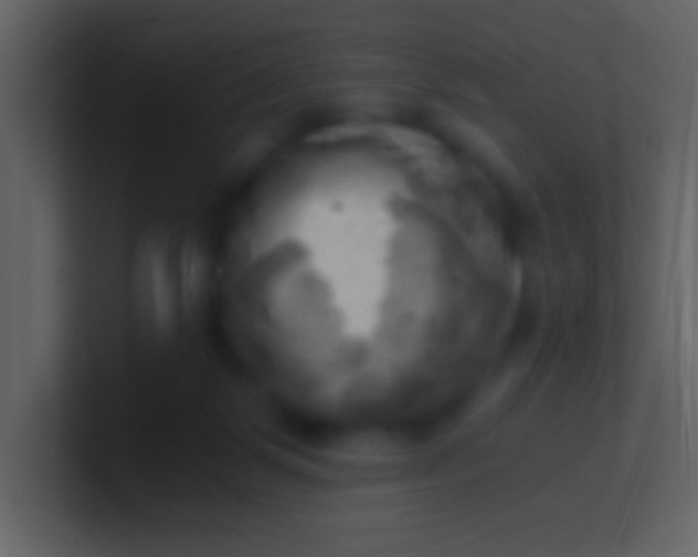 X0000100930123200807081221