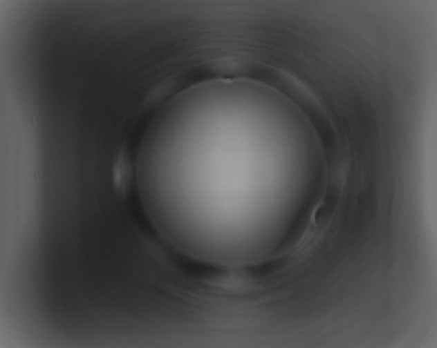 X0000100930124200807081221