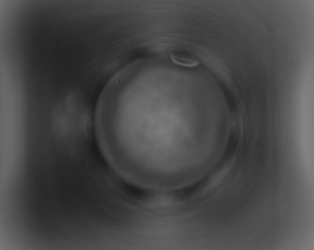 X0000100930127200807081221