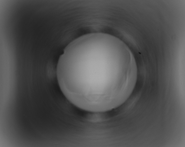 X0000100930129200807081221