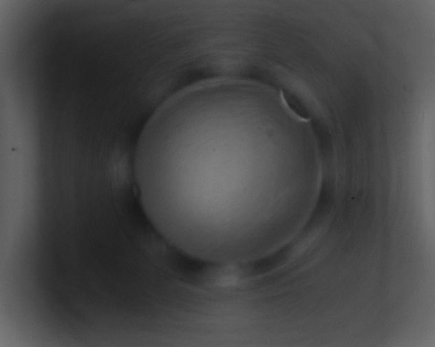 X0000100930131200807081221