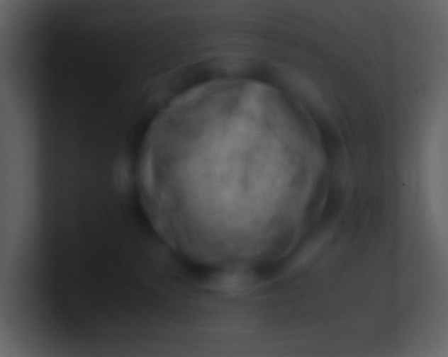 X0000100930135200807081221