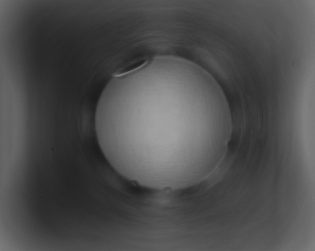 X0000100930136200807081221