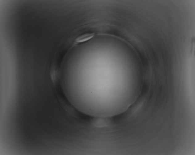 X0000100930137200807081221