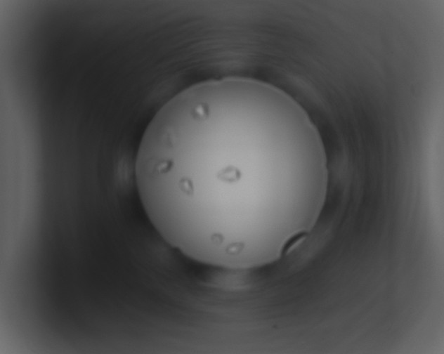 X0000100930138200807081221