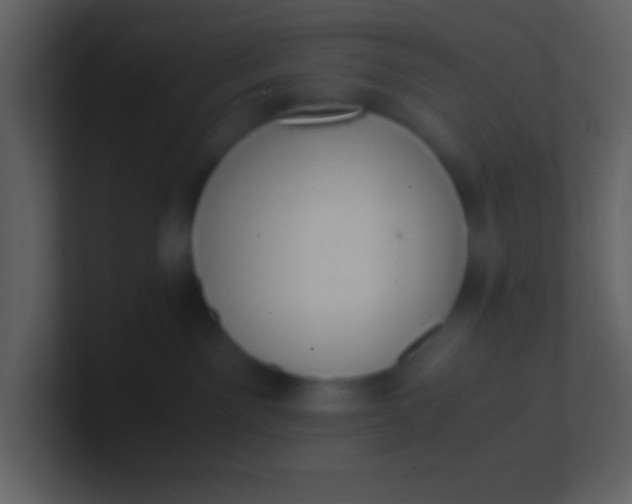 X0000100930141200807081221