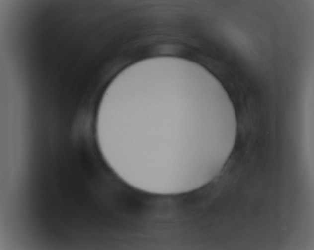 X0000100930146200807081220