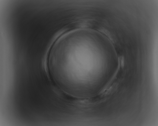 X0000100930147200807081220