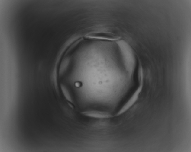 X0000100930148200807081220