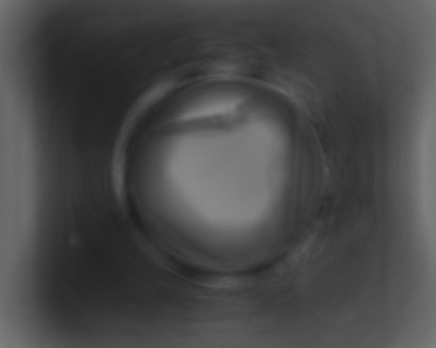 X0000100930149200807081220