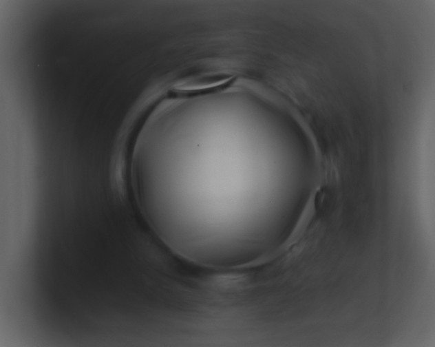 X0000100930150200807081220