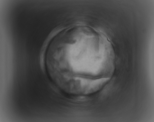 X0000100930151200807081220