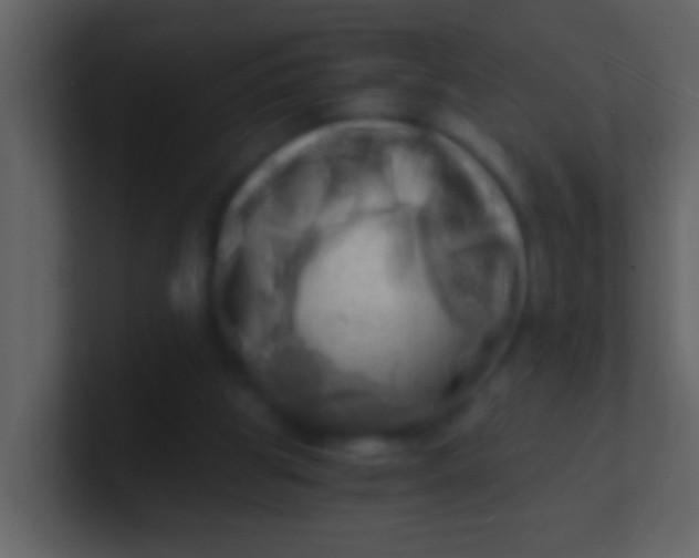 X0000100930153200807081220