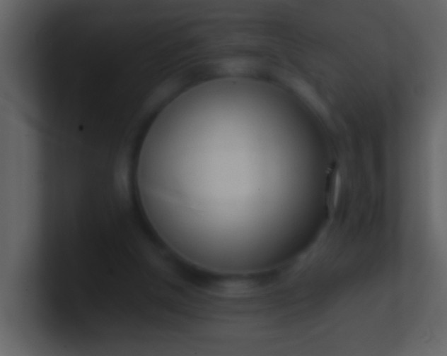 X0000100930154200807081220