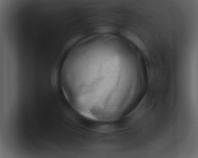 X0000100930155200807081220