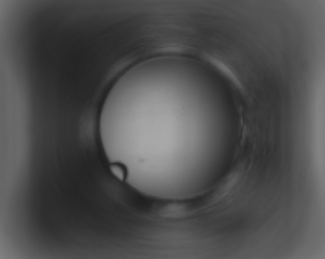 X0000100930156200807081220